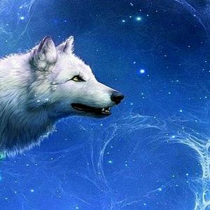 Meet your Posher, Jose